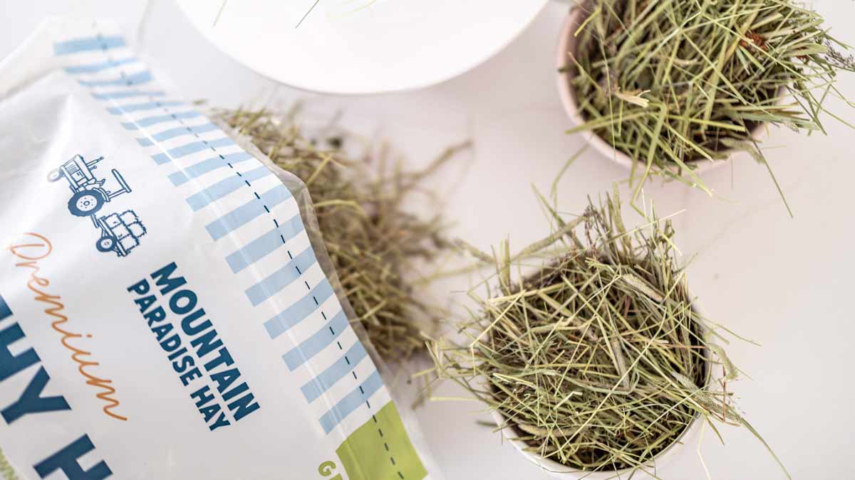 Mountain-Paradise-Hay-Bowls-Of-Hay A bag and two bowls of Mountain Paradise Hay