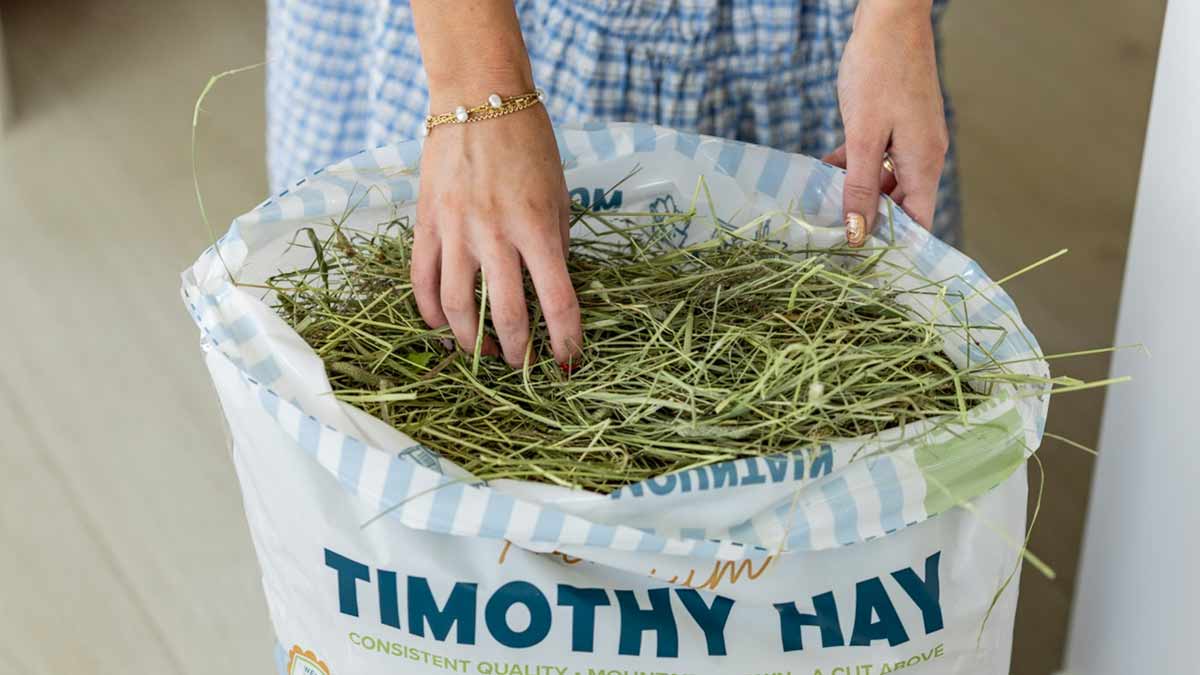 Mountain-Paradise-Hay-Pulling-Out-Hay